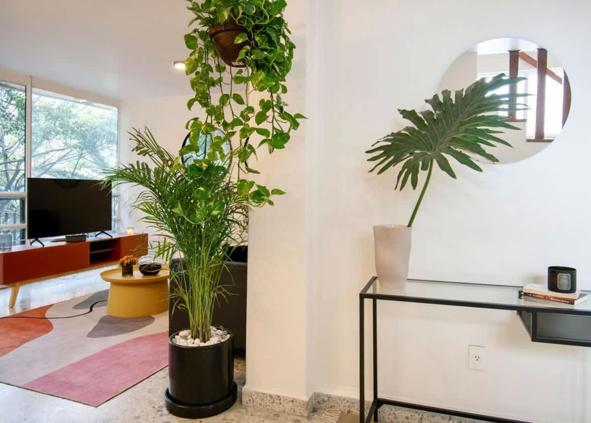 Lovely And Unique With Private Terrace Apartment Mexiko-Stadt